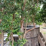 Rumiloft Cabanas